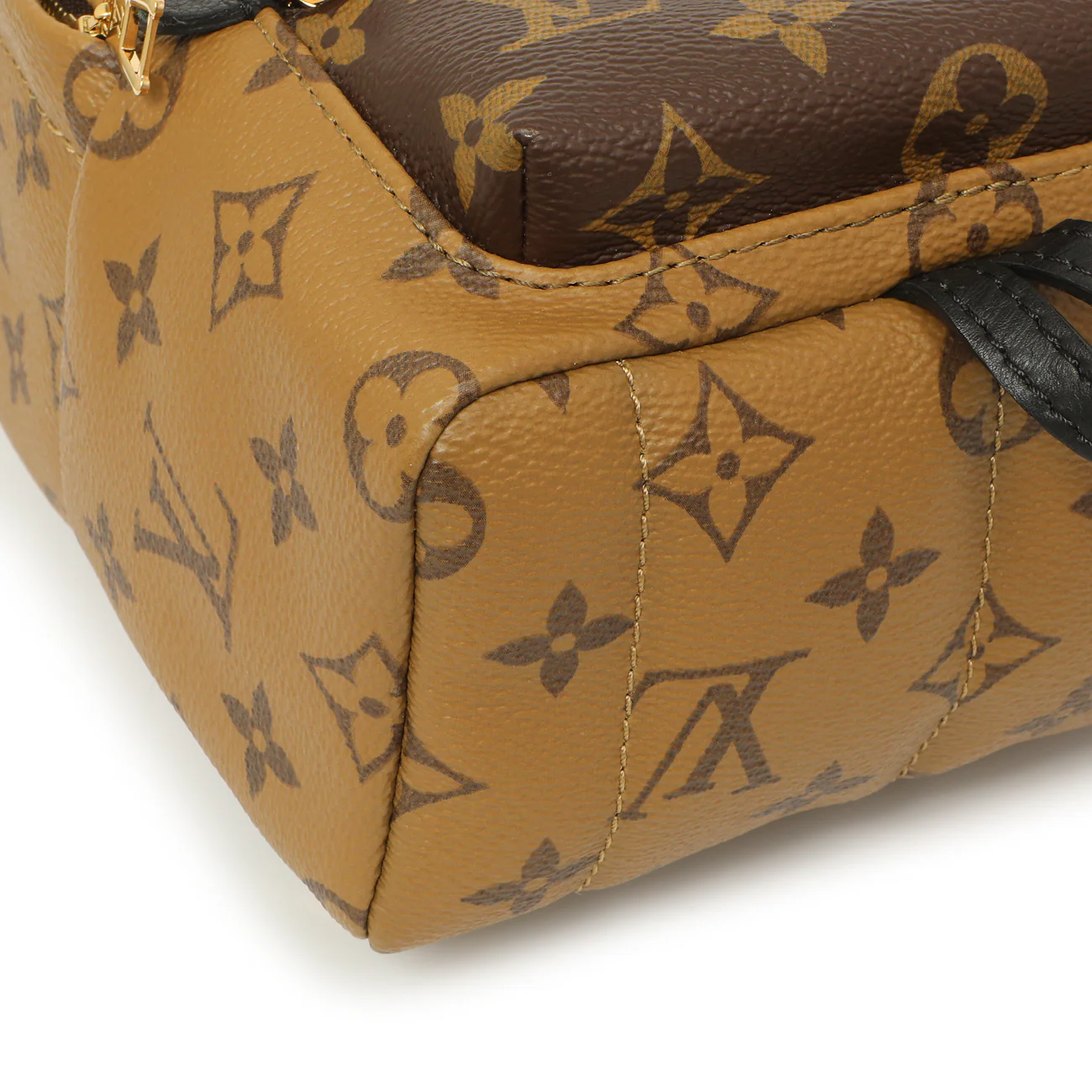 Louis Vuitton Monogram Reverse Palm Springs Backpack Mini - Image 4