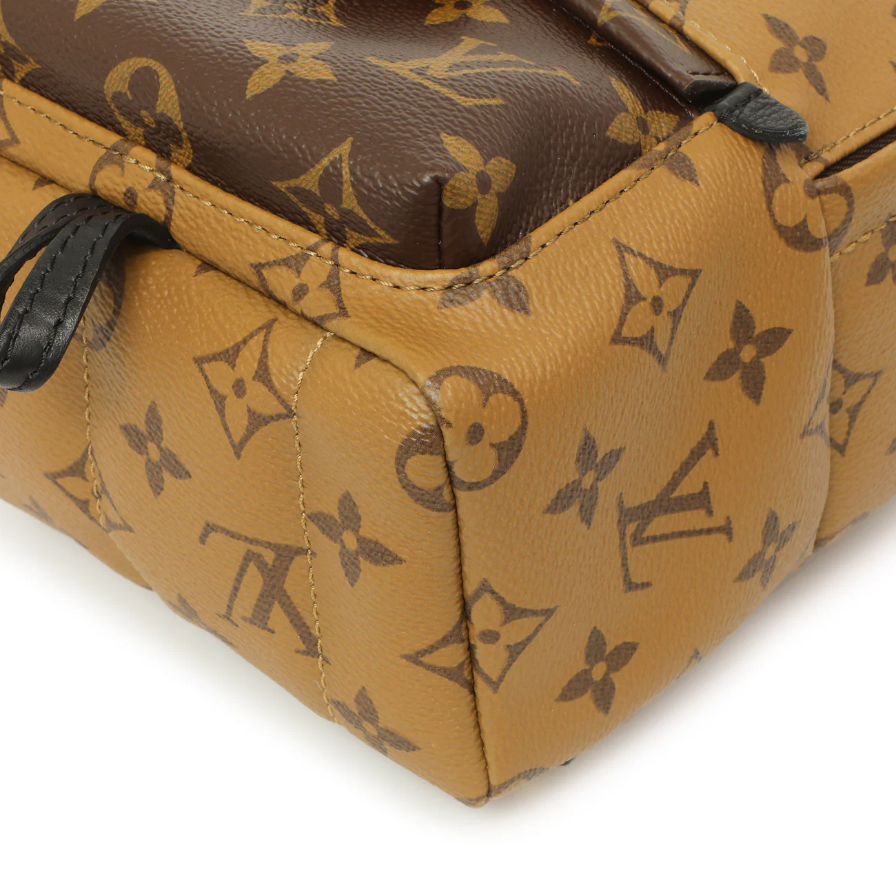 Louis Vuitton Monogram Reverse Palm Springs Backpack Mini - Image 5