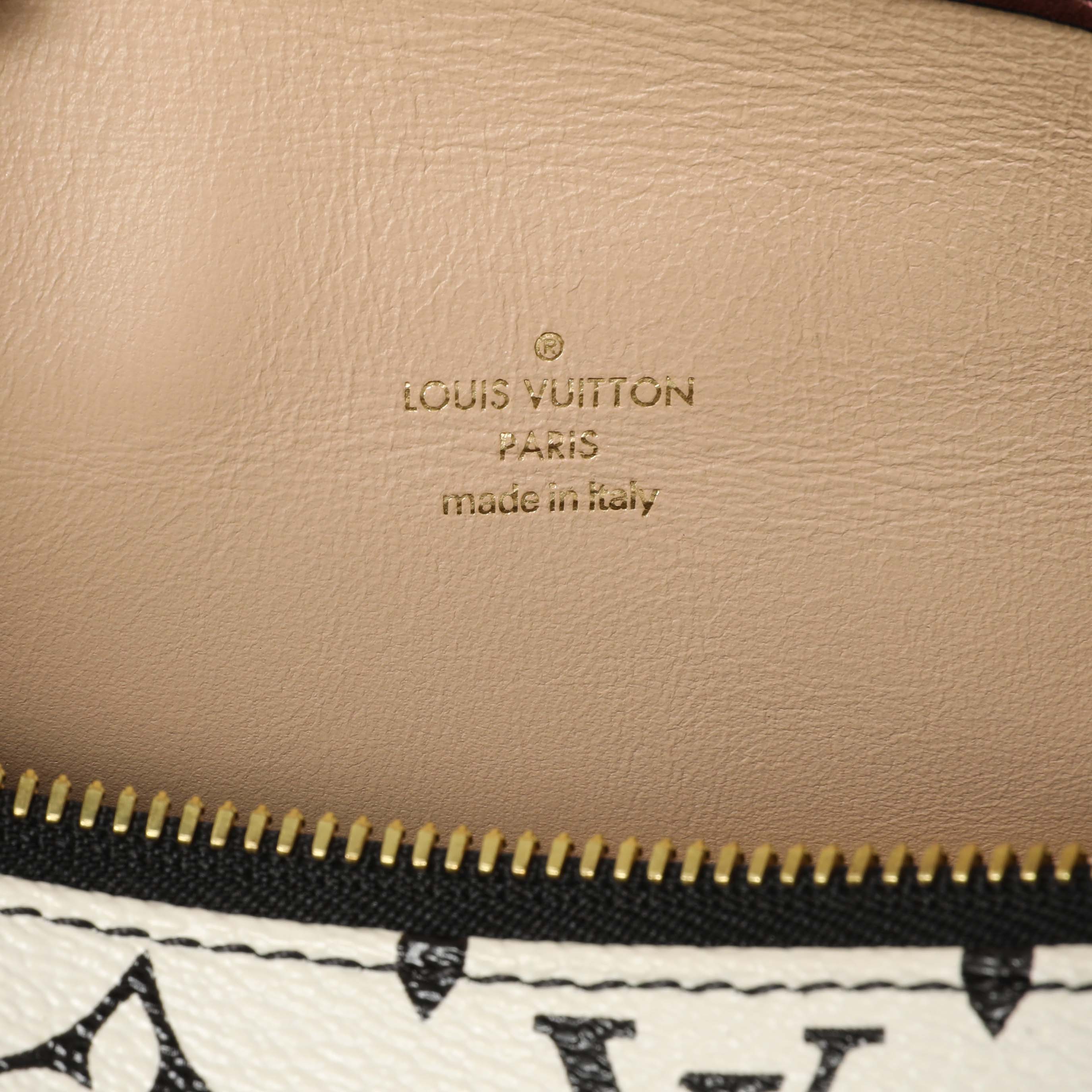 Louis Vuitton Monogram Speedy Amazon PM - Image 10