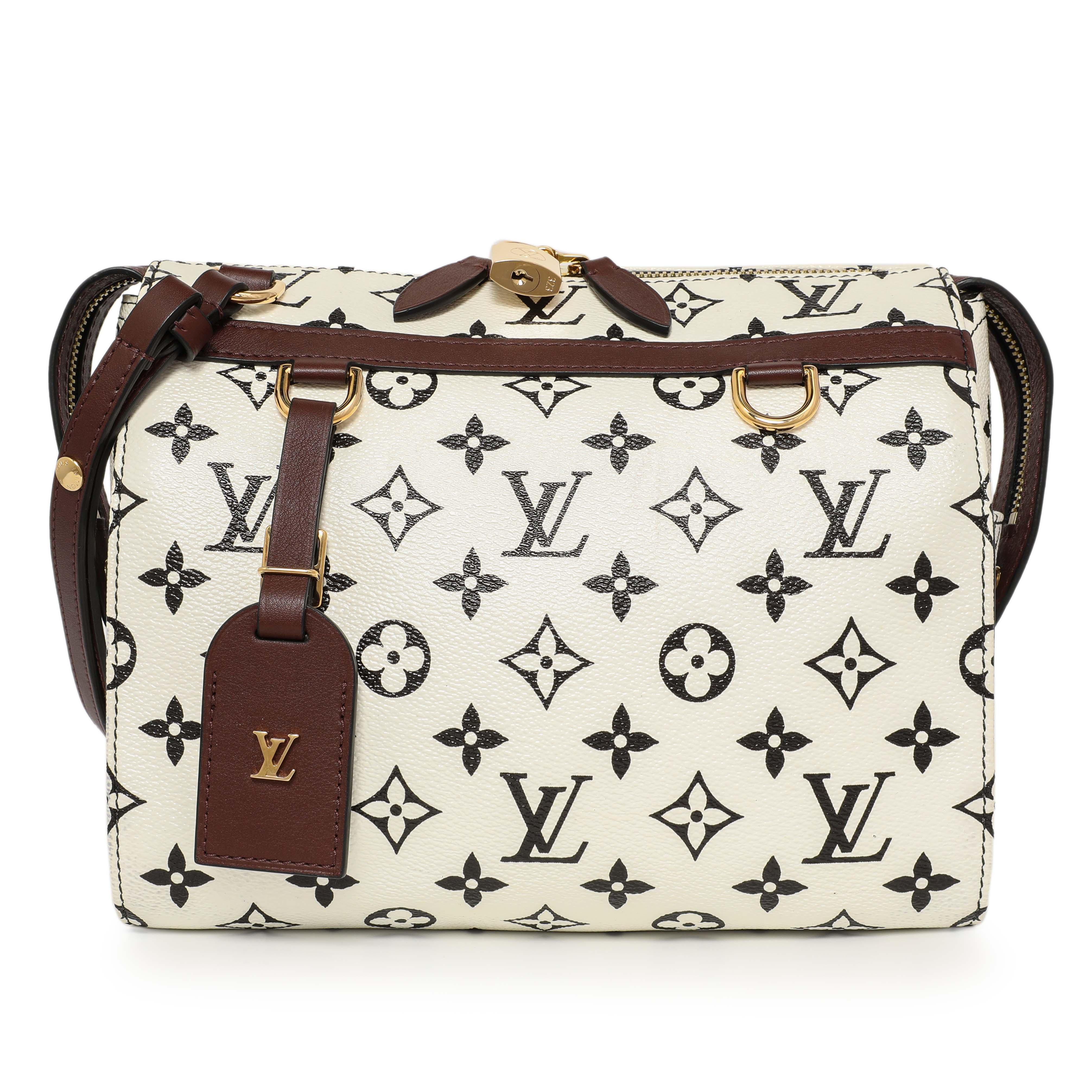 Louis Vuitton Monogram Speedy Amazon PM - Image 2