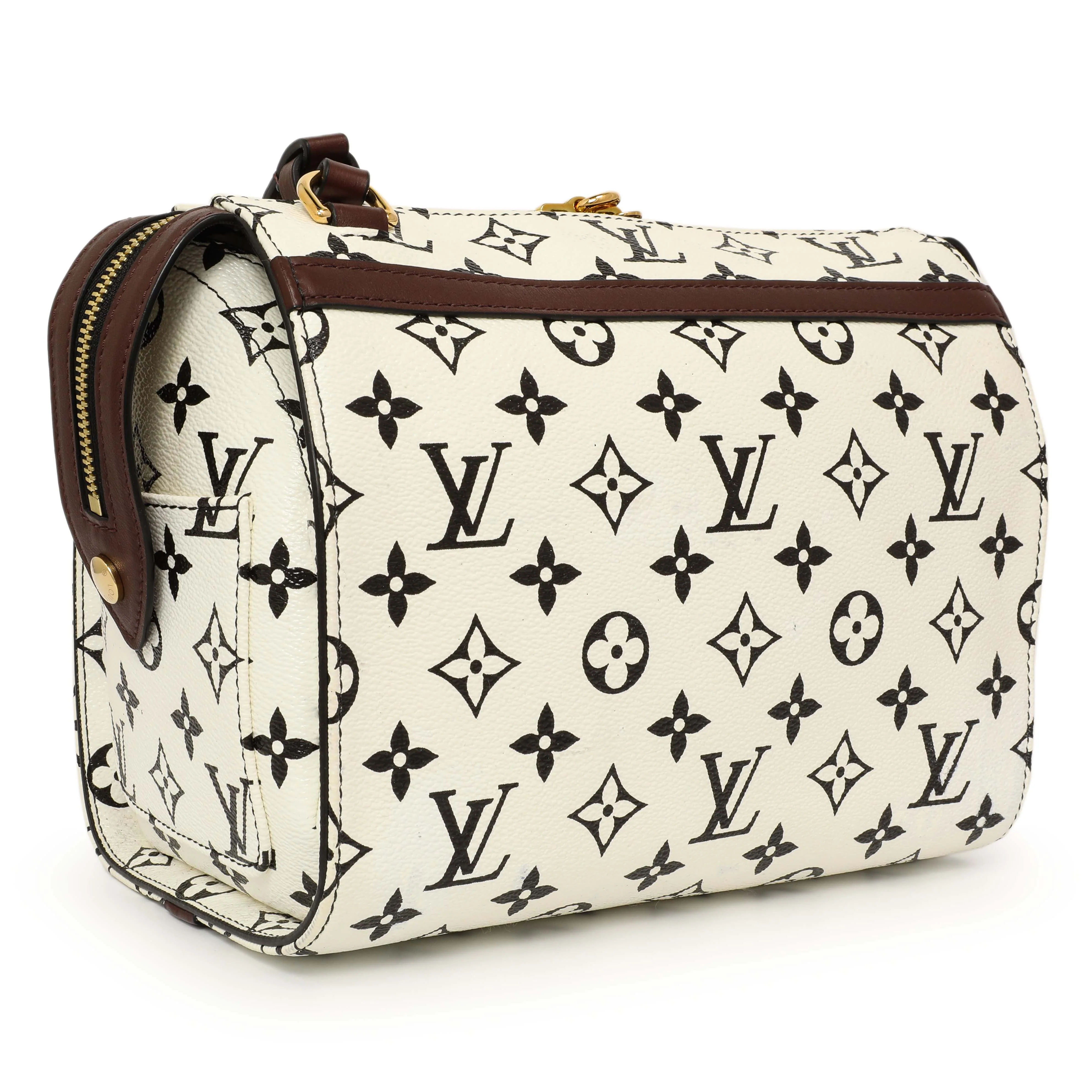 Louis Vuitton Monogram Speedy Amazon PM - Image 3