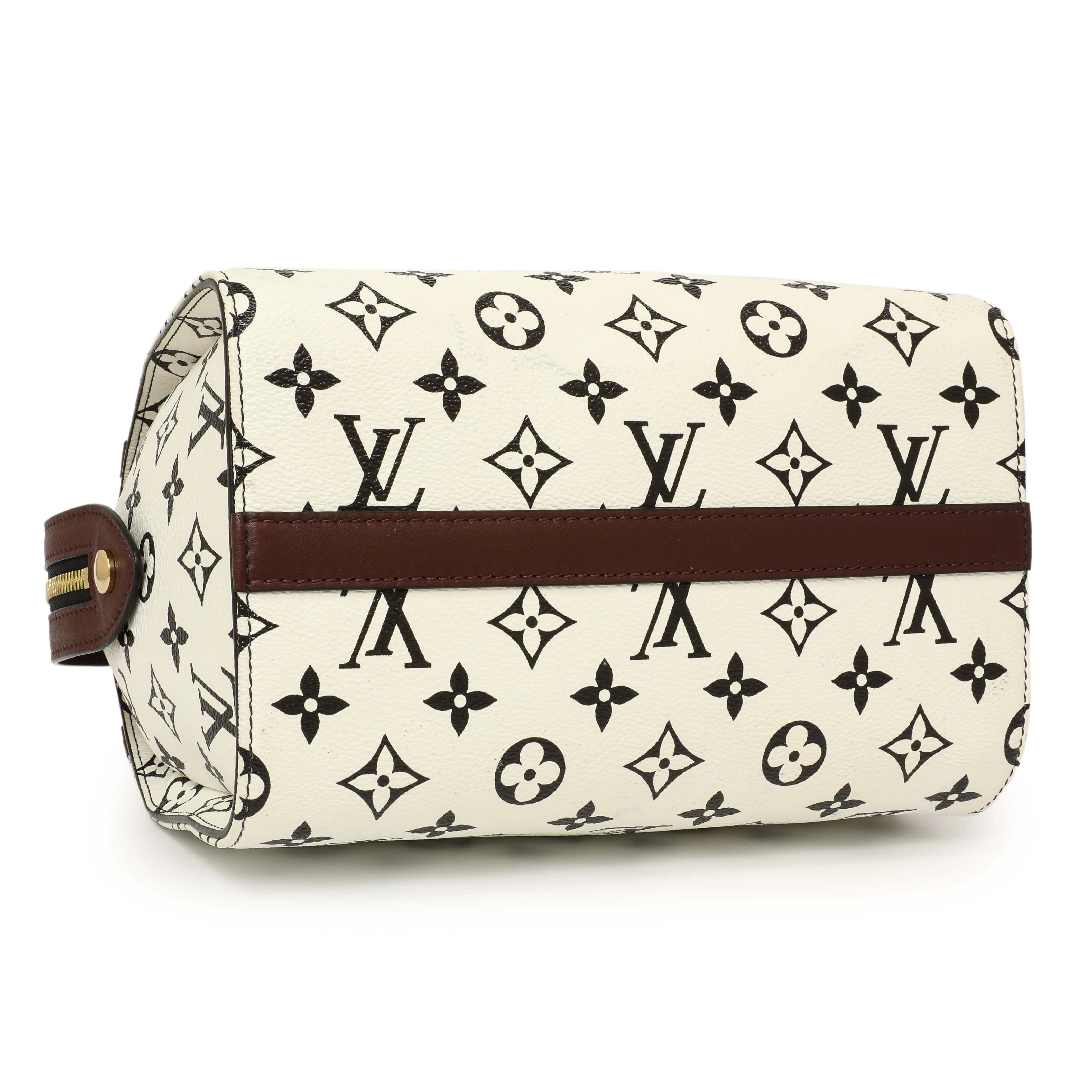 Louis Vuitton Monogram Speedy Amazon PM - Image 4