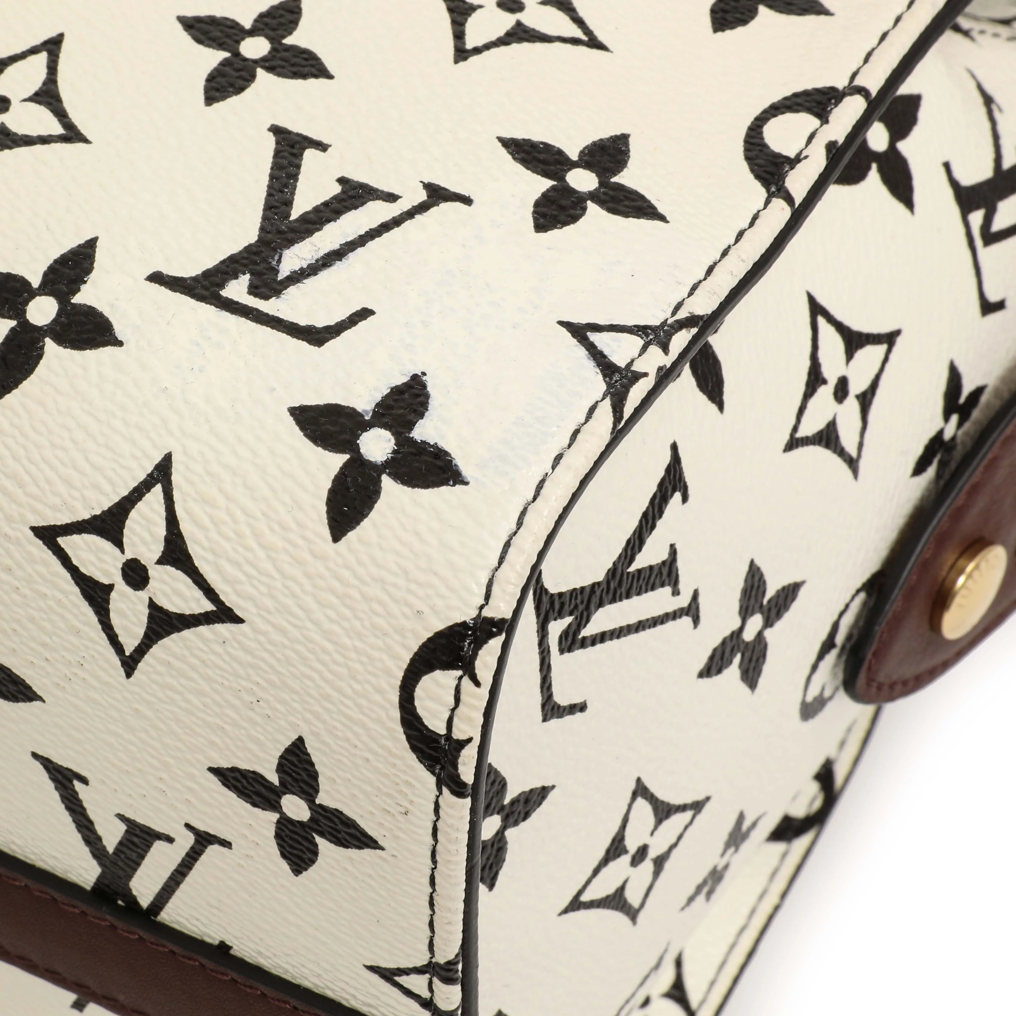 Louis Vuitton Monogram Speedy Amazon PM - Image 6