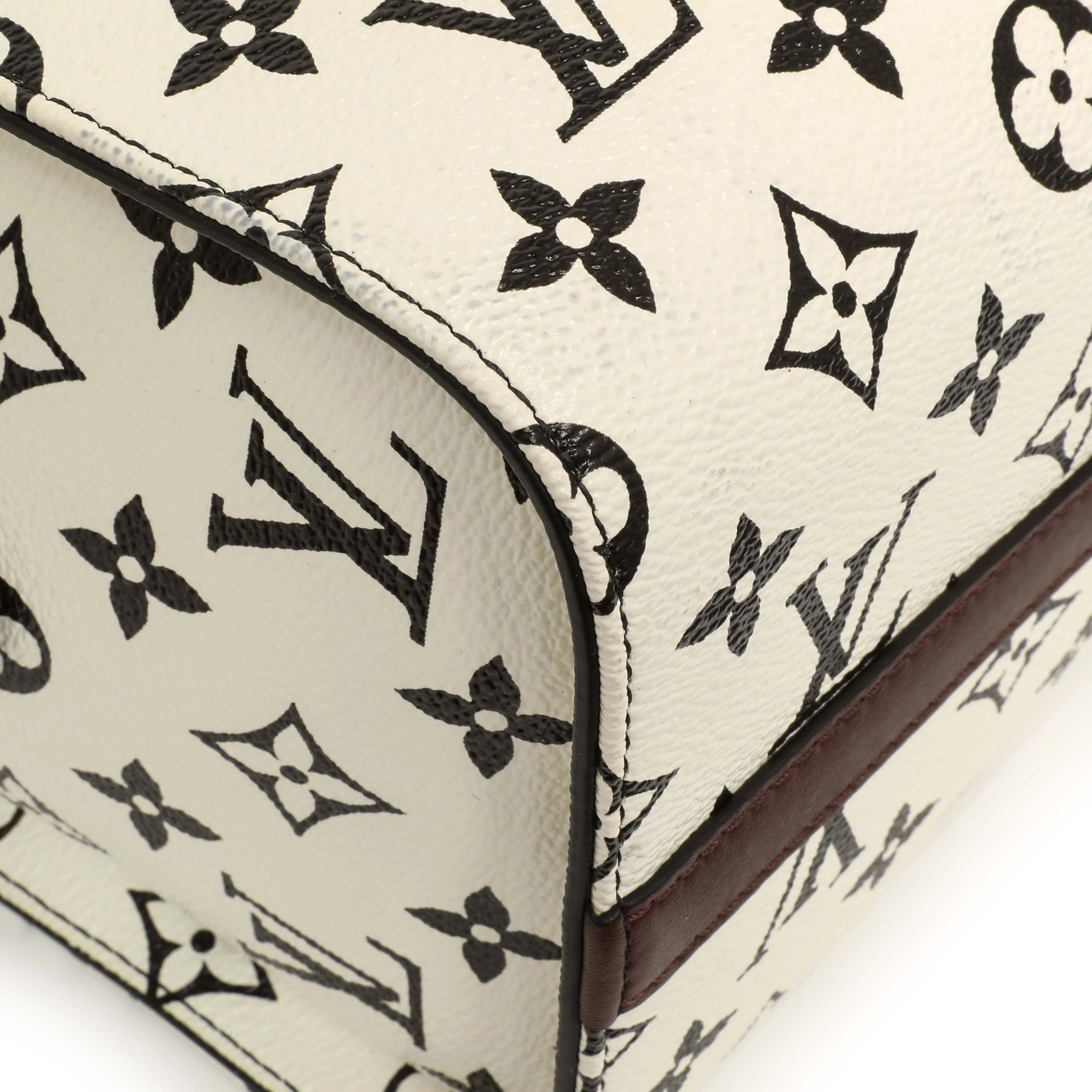 Louis Vuitton Monogram Speedy Amazon PM - Image 7