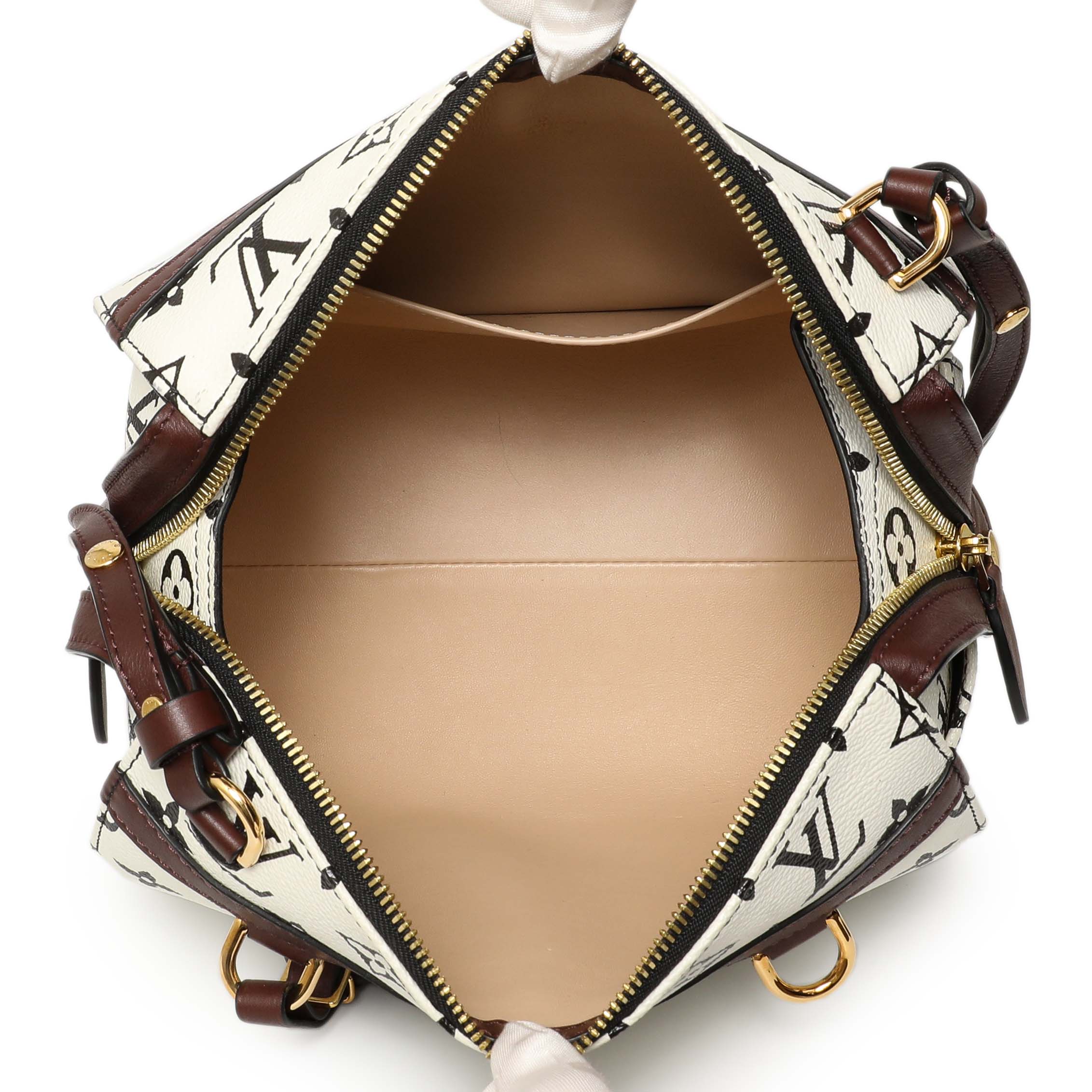 Louis Vuitton Monogram Speedy Amazon PM - Image 9