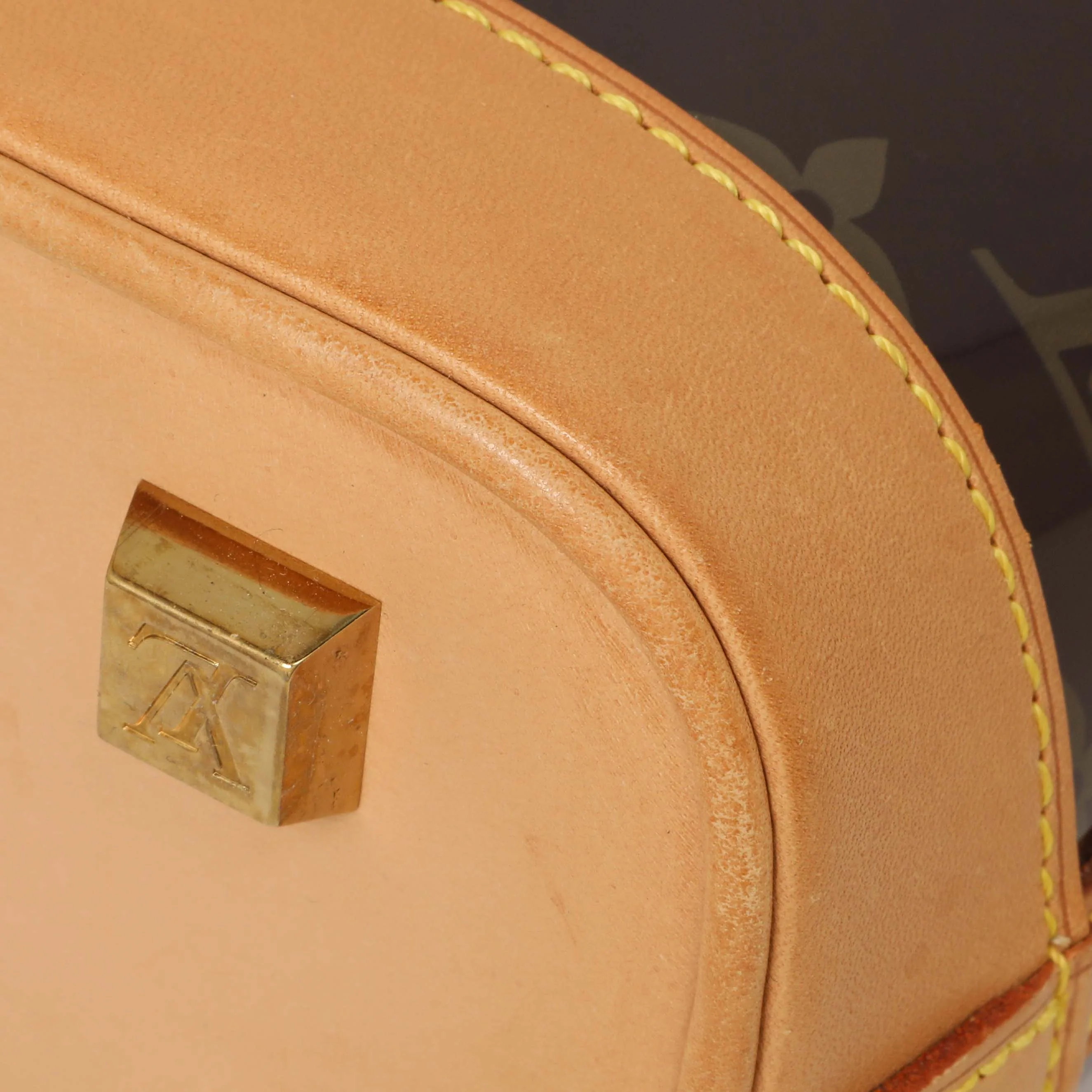 Louis Vuitton Monogram Vinyl Cabas Ambre PM - Image 7