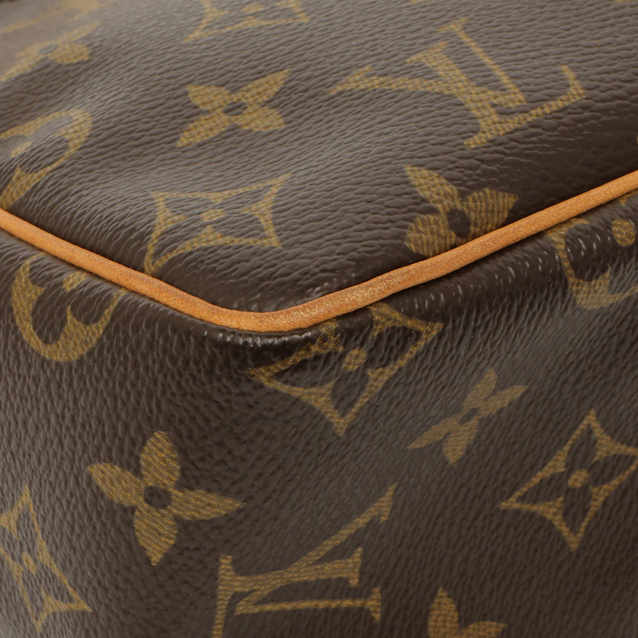 Louis Vuitton Monogram Viva Cite PM - Image 9