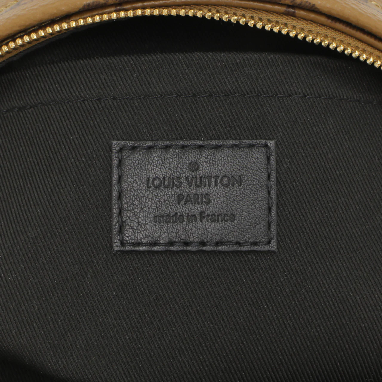 Louis Vuitton Reverse Monogram Palm Springs Backpack     Mini - Image 5