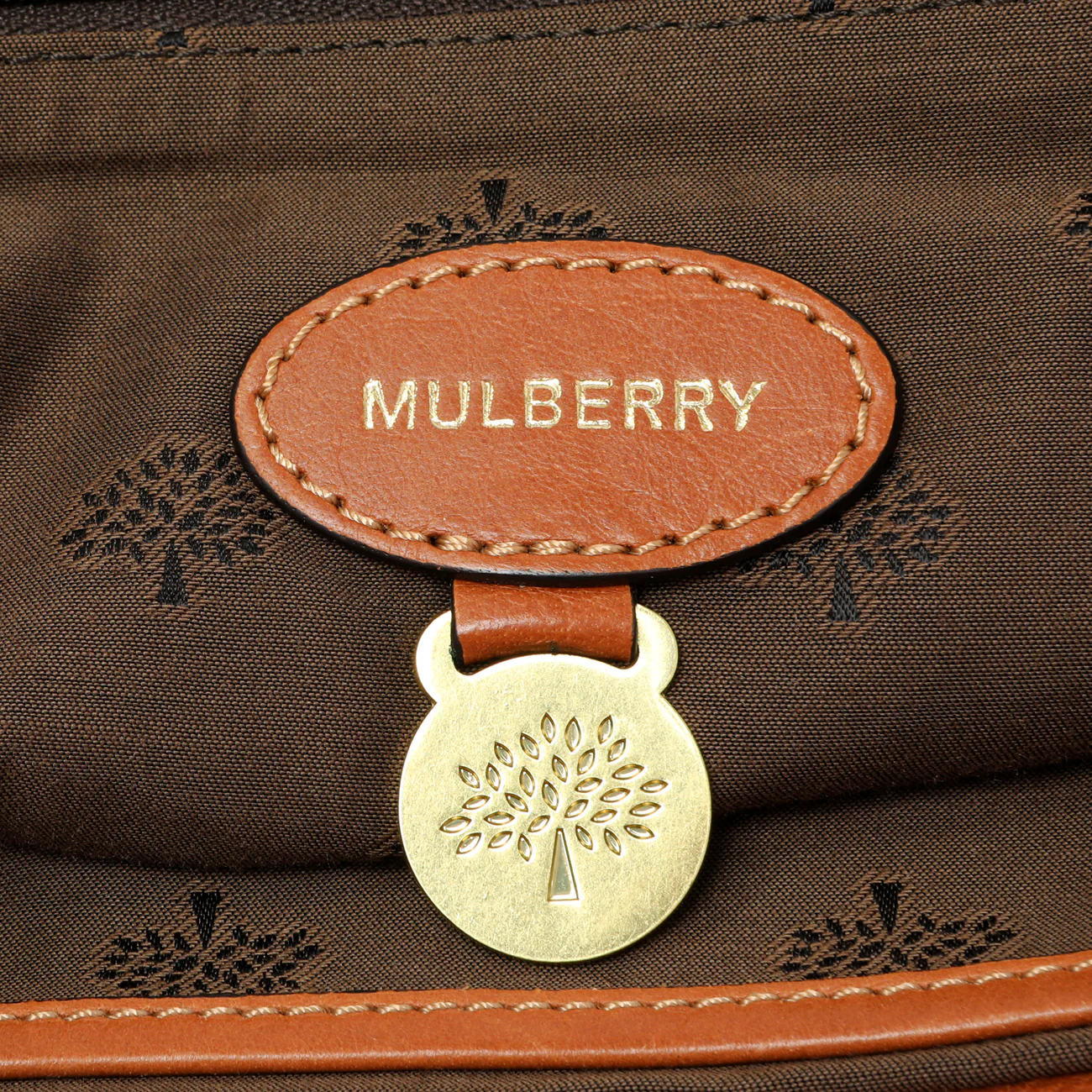 Mulberry Oak Soft Buffalo Medium Alexa - Image 9